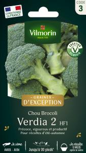 Chou Brocoli Verdia 2 HF1 - Graines d'exception